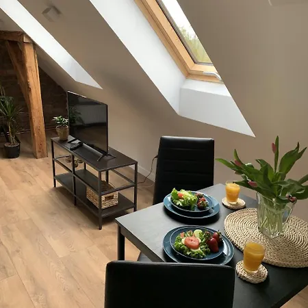 Apartamenty Astor - Ksiezycowy Bad Salzbrunn Exterior foto