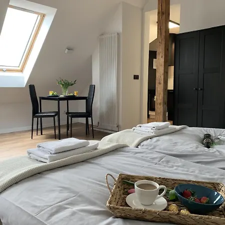 Apartamenty Astor - Ksiezycowy Bad Salzbrunn Exterior foto