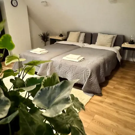 Apartamenty Astor - Ksiezycowy Bad Salzbrunn Exterior foto