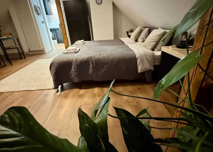 Apartamenty Astor - Ksiezycowy