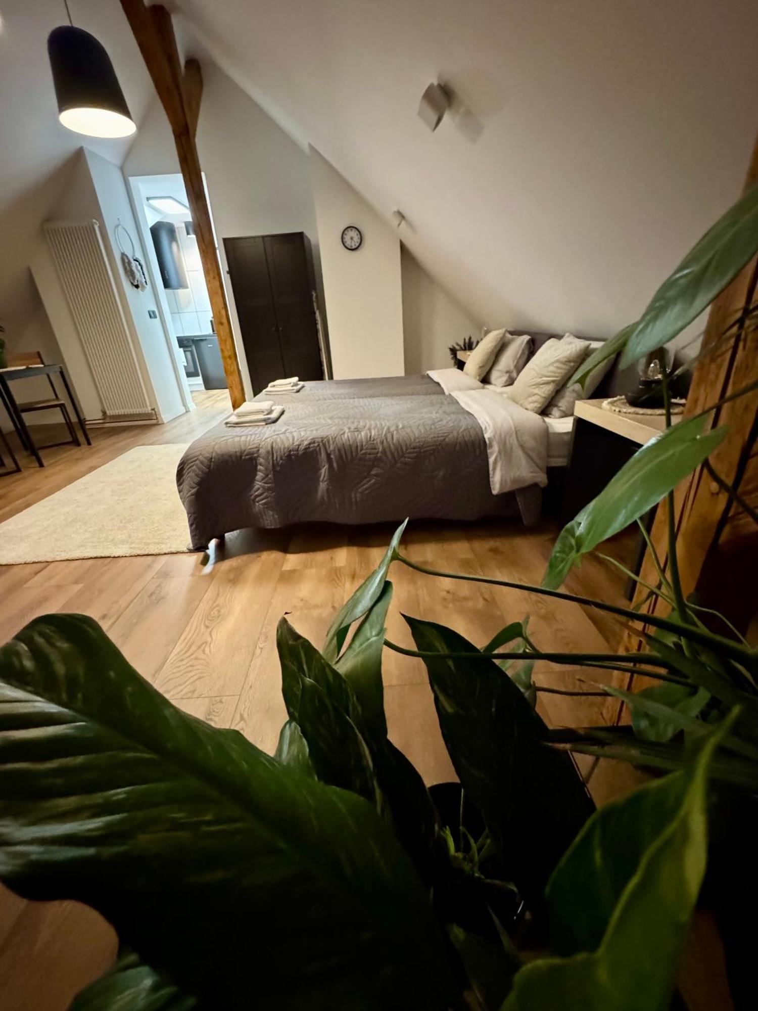 Astor - Ksiezycowy Apartment Szczawno-Zdroj